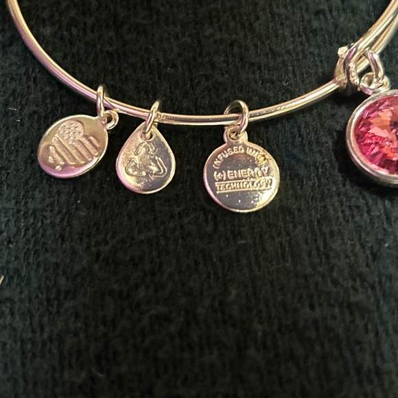 Alex & Ani Bangle Bar Pink Tourmaline October Birthstone Bangle Bracelet - Picture 2 of 14